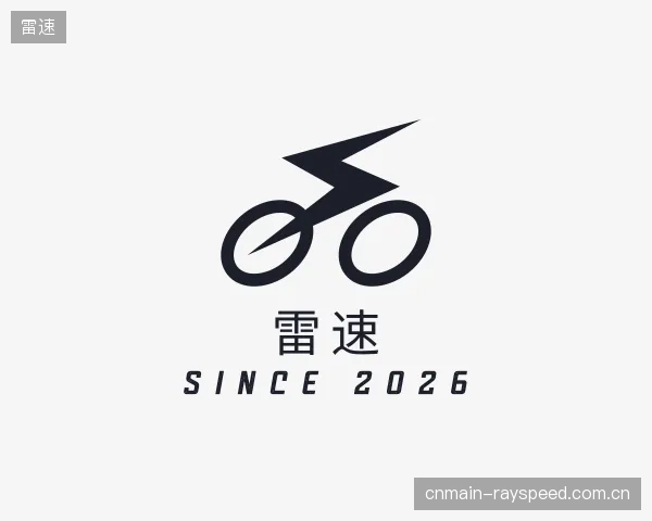 介绍雷速集团